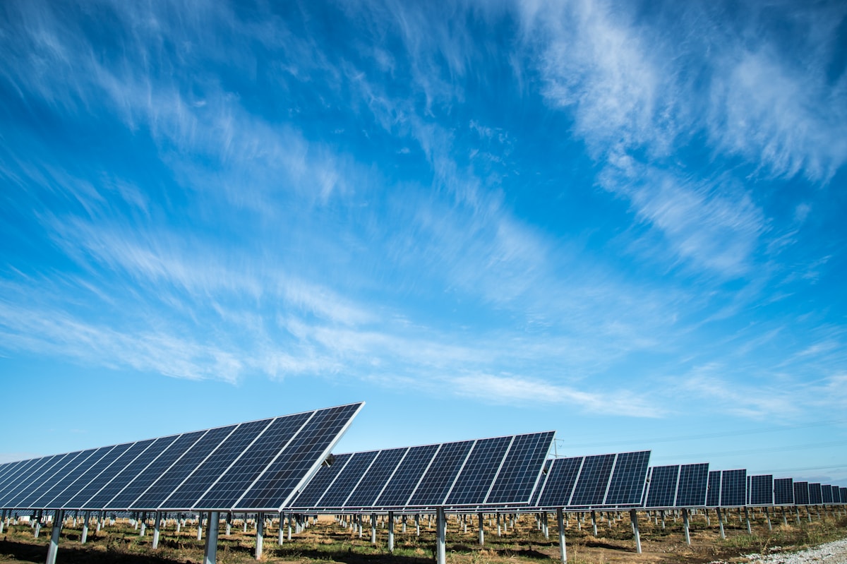Paneles solares